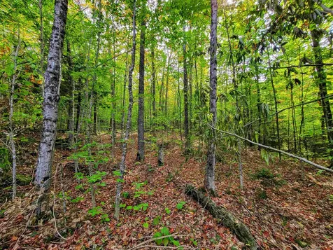 2555 Fuller Road Newbury VT 05051