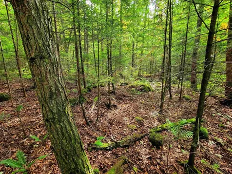 2555 Fuller Road Newbury VT 05051