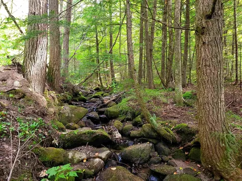 2555 Fuller Road Newbury VT 05051