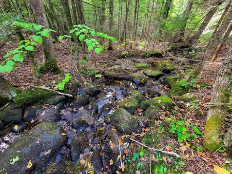 2555 Fuller Road Newbury VT 05051