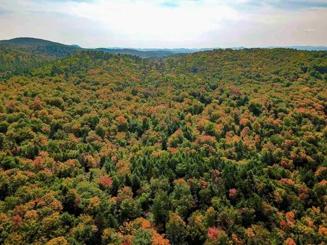 2555 Fuller Road Newbury VT 05051