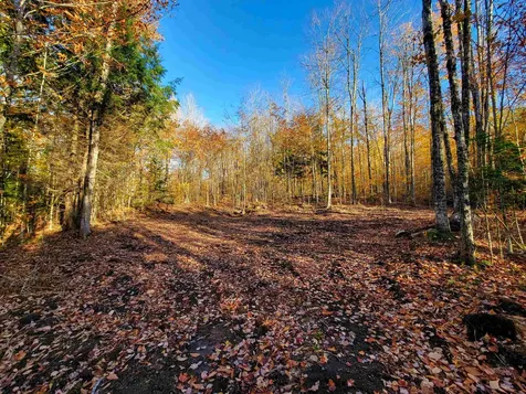 2555 Fuller Road Newbury VT 05051