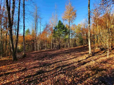 2555 Fuller Road Newbury VT 05051