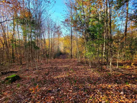 2555 Fuller Road Newbury VT 05051