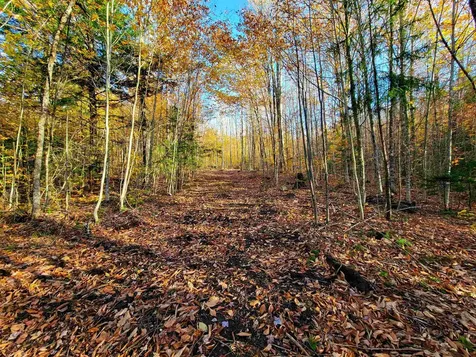 2555 Fuller Road Newbury VT 05051