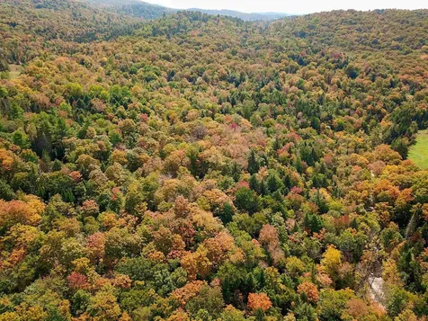 2555 Fuller Road Newbury VT 05051