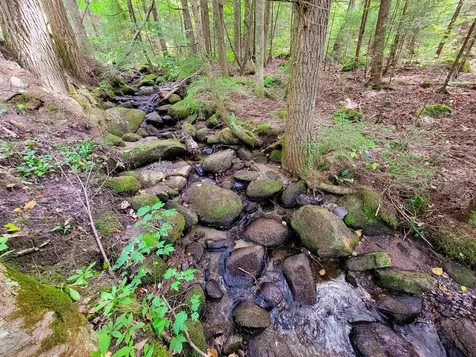 2555 Fuller Road Newbury VT 05051