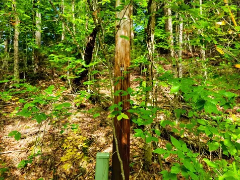 2555 Fuller Road Newbury VT 05051