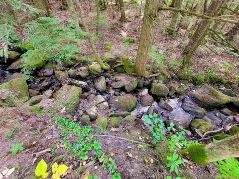 2555 Fuller Road Newbury VT 05051