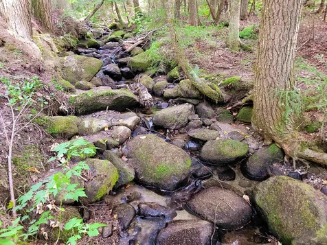 2555 Fuller Road Newbury VT 05051