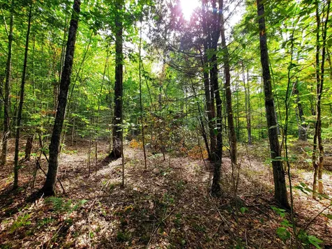 2555 Fuller Road Newbury VT 05051