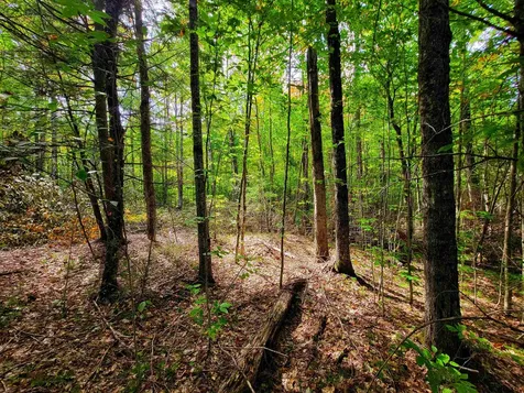 2555 Fuller Road Newbury VT 05051