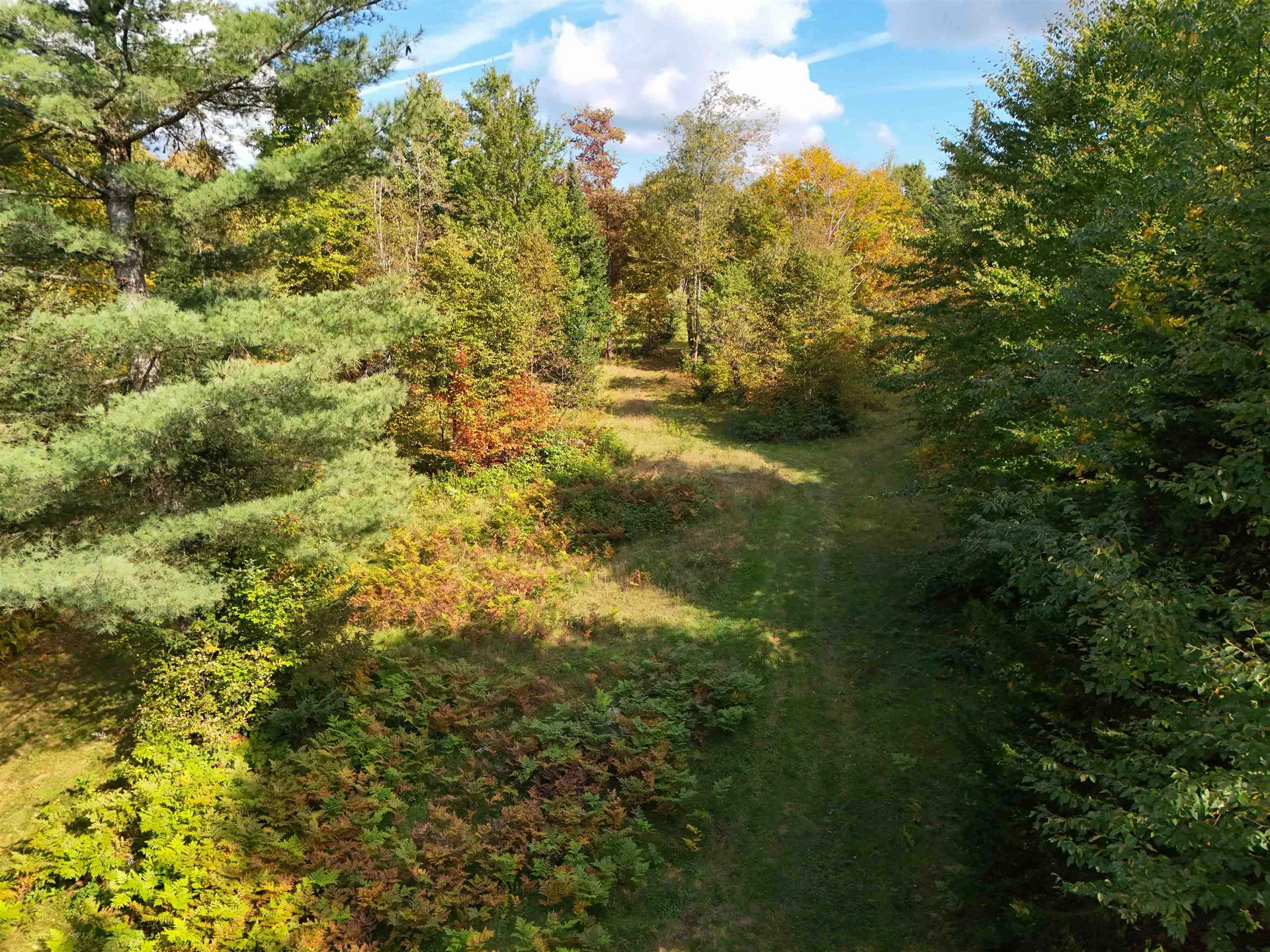 316 Molly Road Cabot VT 05647