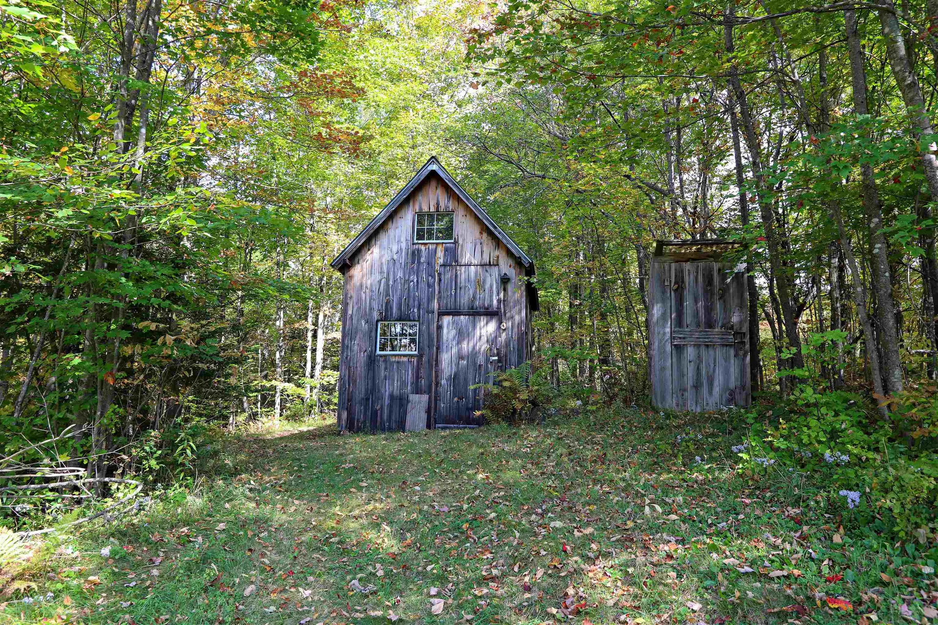 316 Molly Road Cabot VT 05647