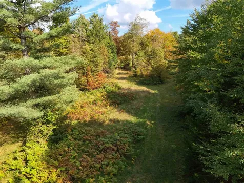 316 Molly Road Cabot VT 05647
