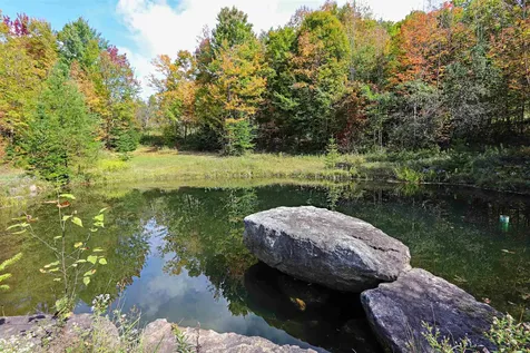 316 Molly Road Cabot VT 05647