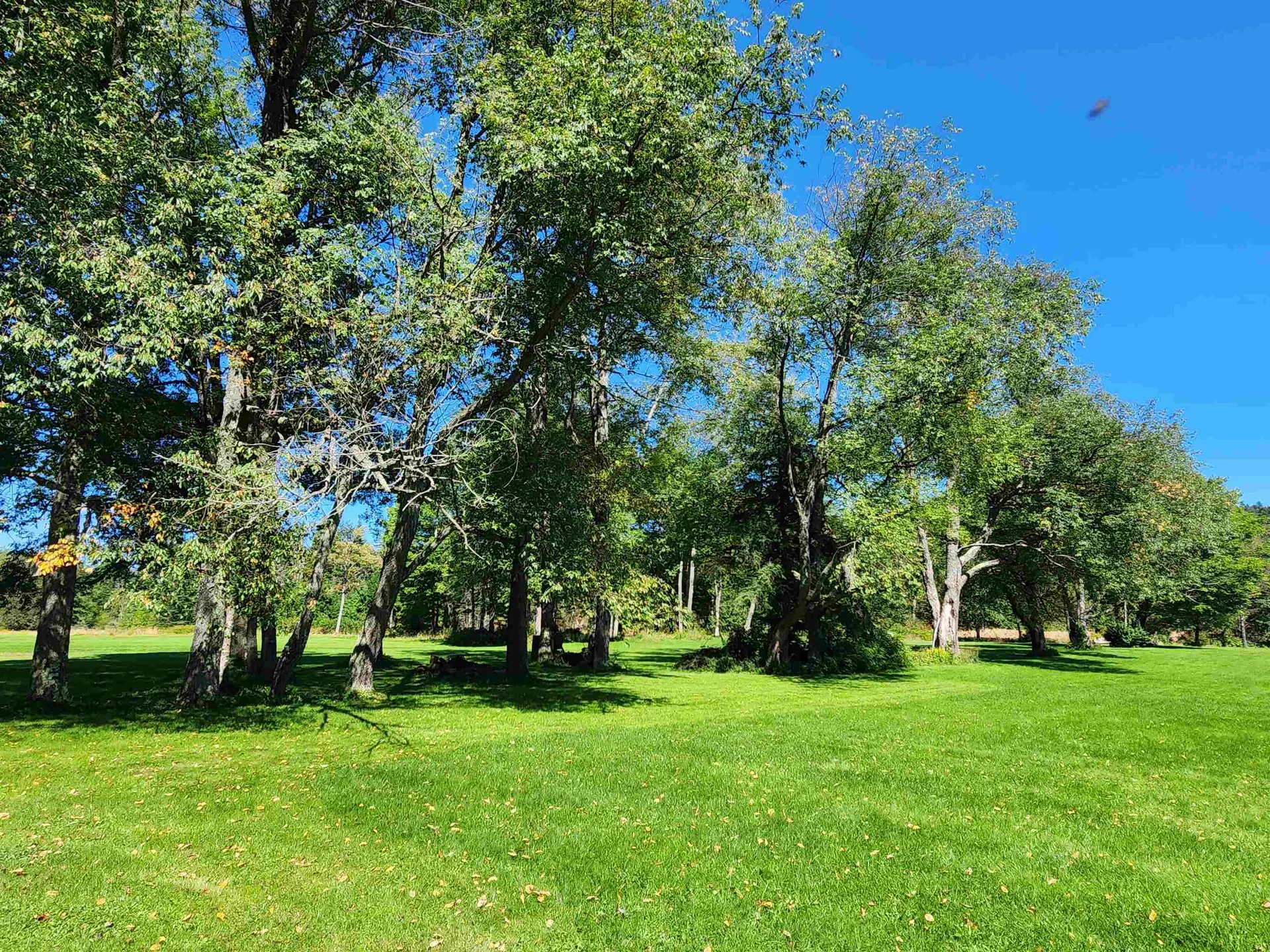 204 Hall Stream Road Canaan VT 05902