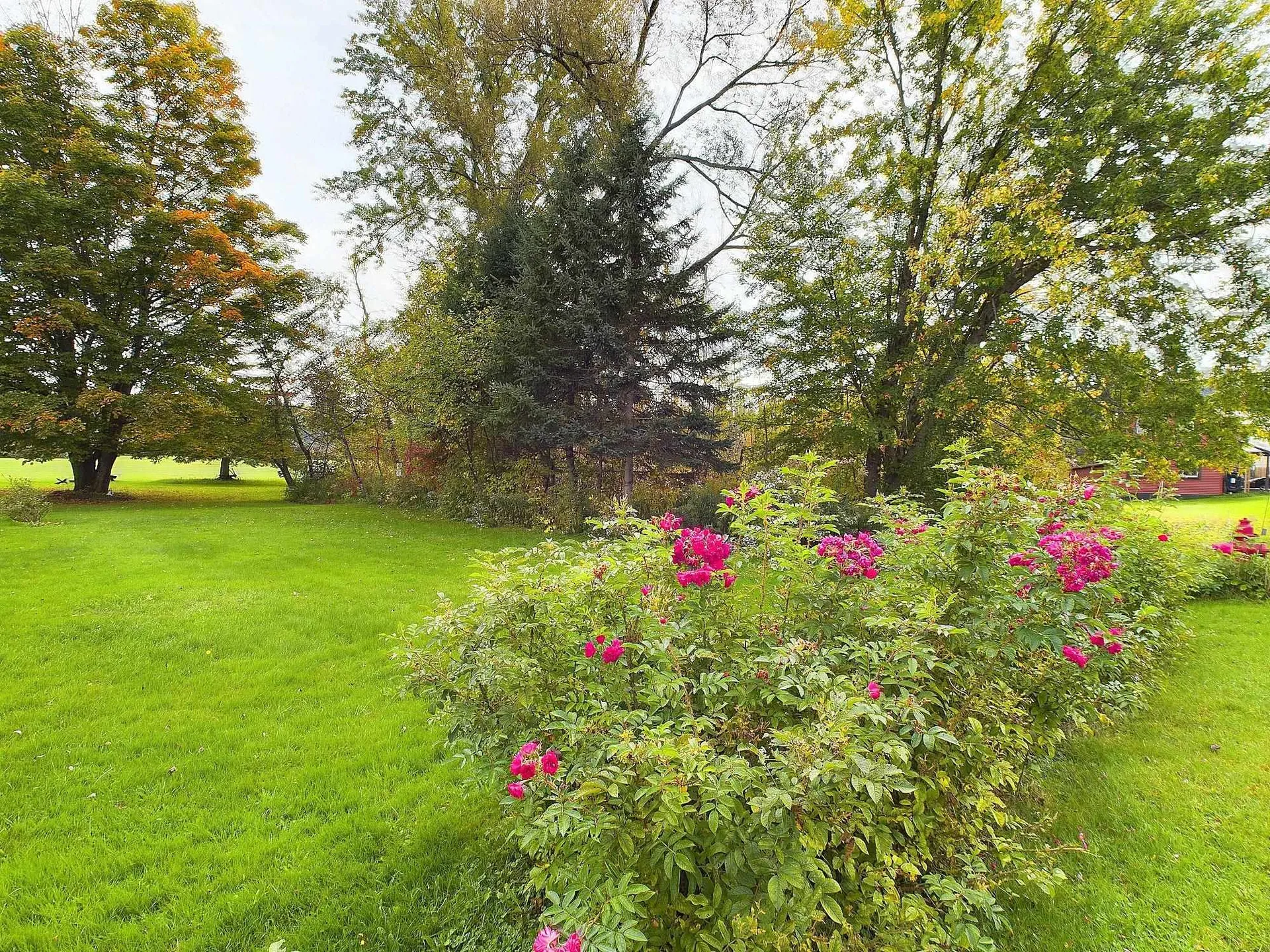 204 Hall Stream Road Canaan VT 05902