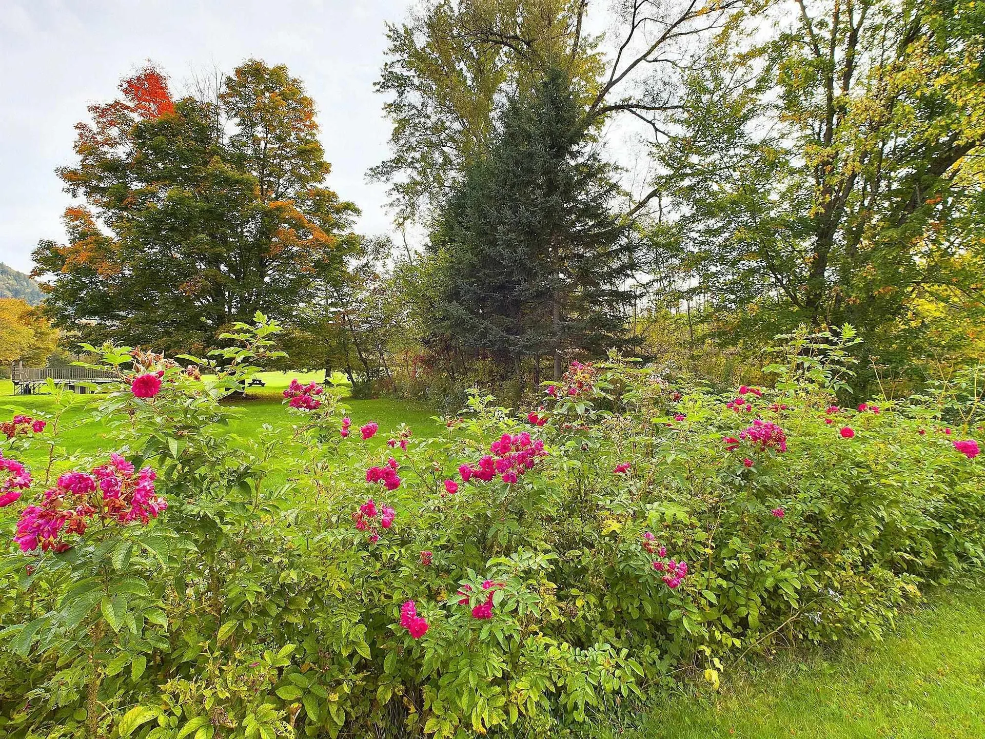 204 Hall Stream Road Canaan VT 05902