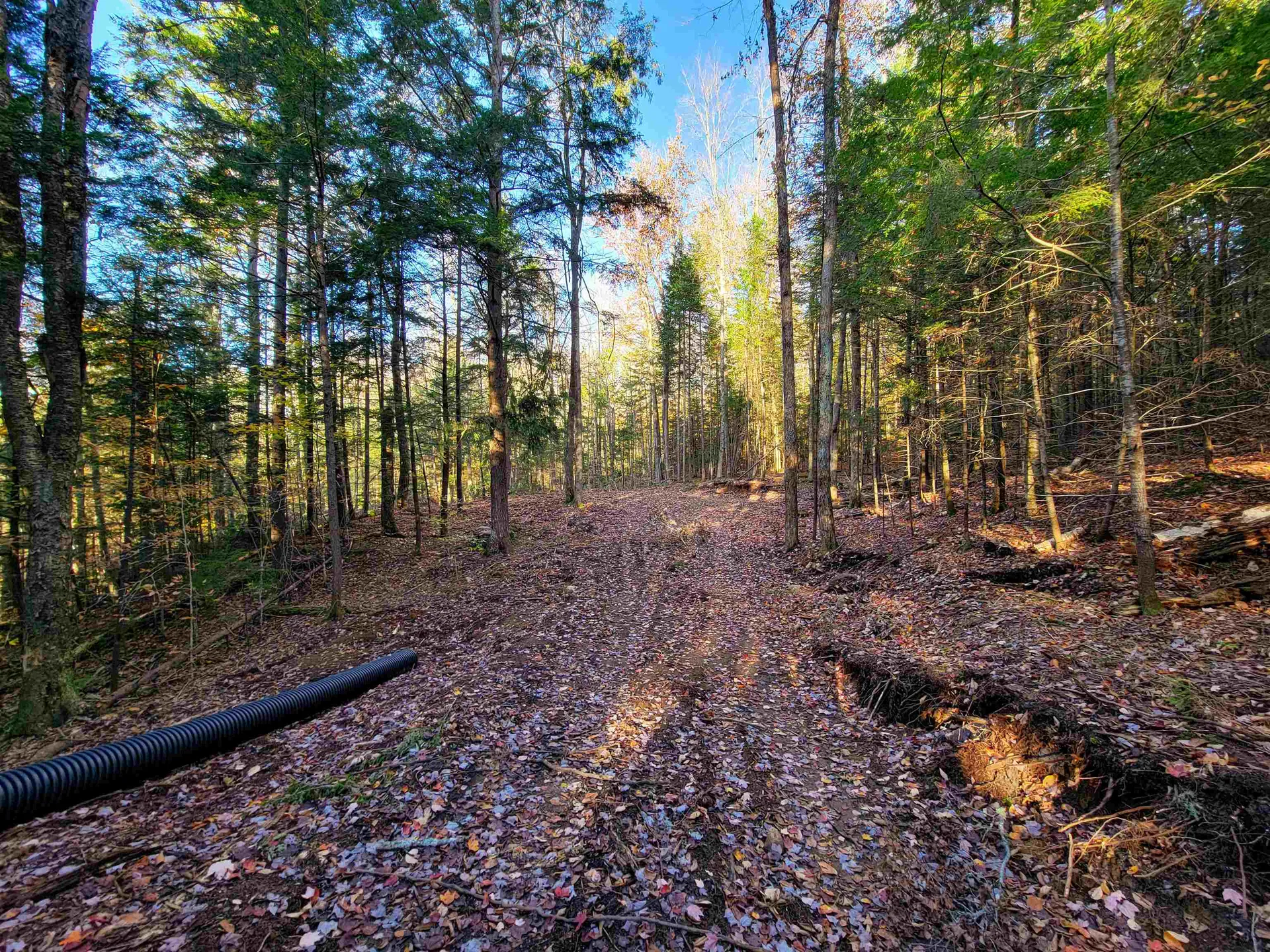 2500 Fuller Road Newbury VT 05051