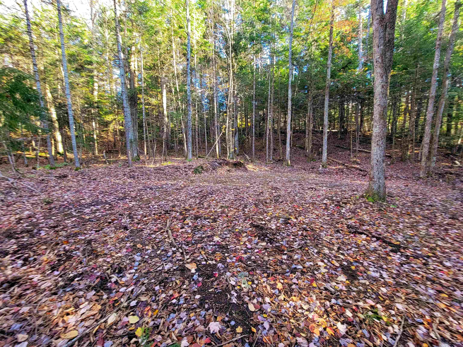 2500 Fuller Road Newbury VT 05051