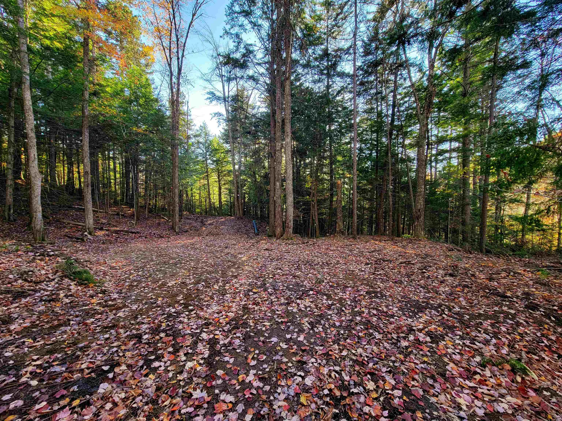 2500 Fuller Road Newbury VT 05051