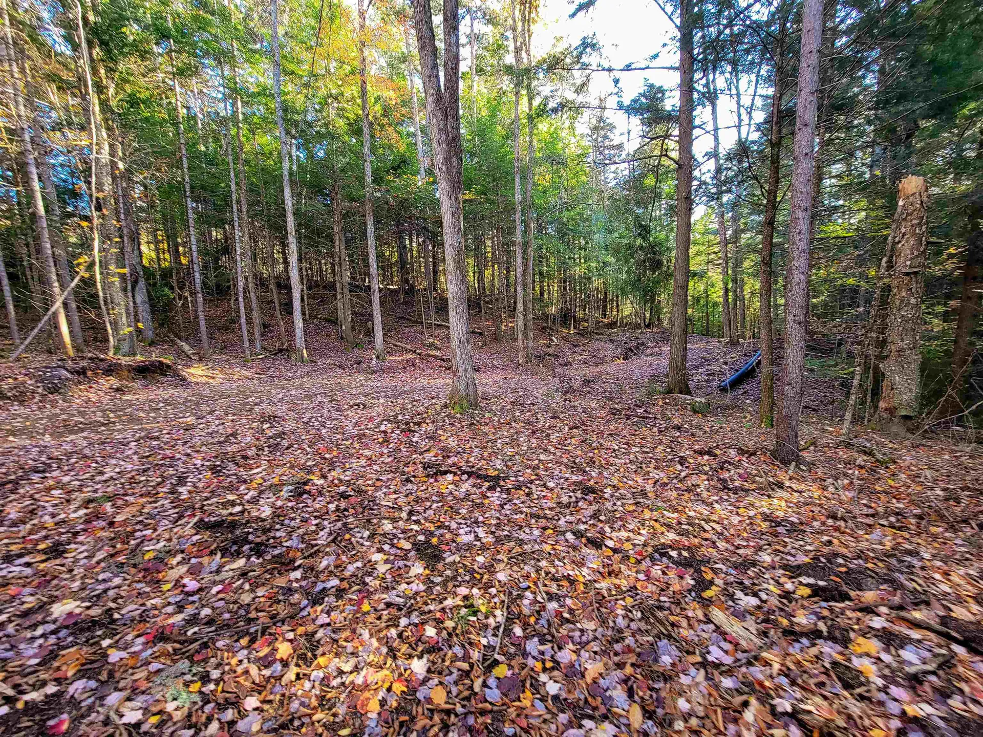 2500 Fuller Road Newbury VT 05051