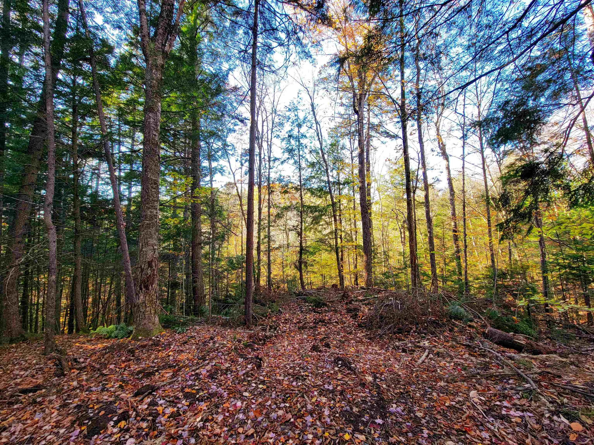 2500 Fuller Road Newbury VT 05051