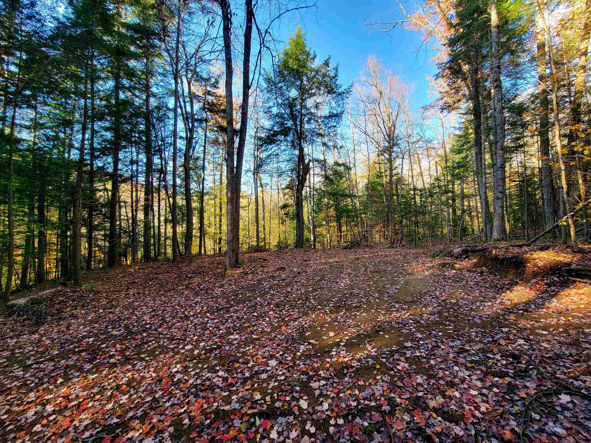 2500 Fuller Road Newbury VT 05051