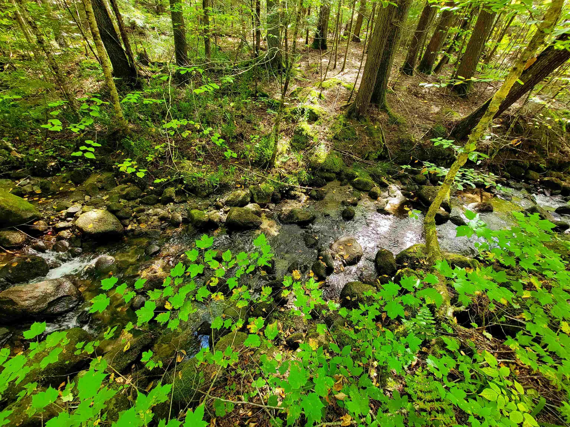 2500 Fuller Road Newbury VT 05051