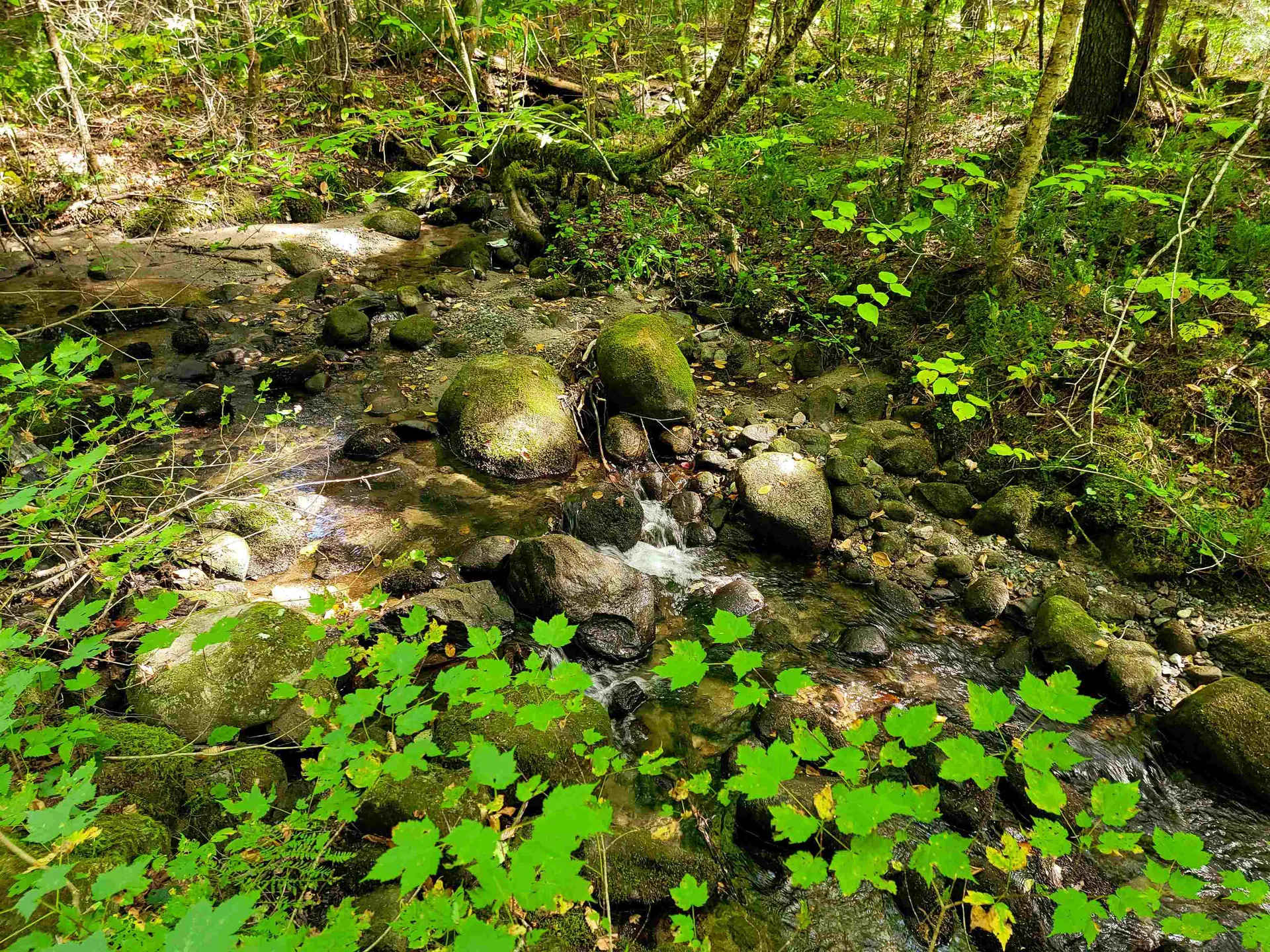 2500 Fuller Road Newbury VT 05051