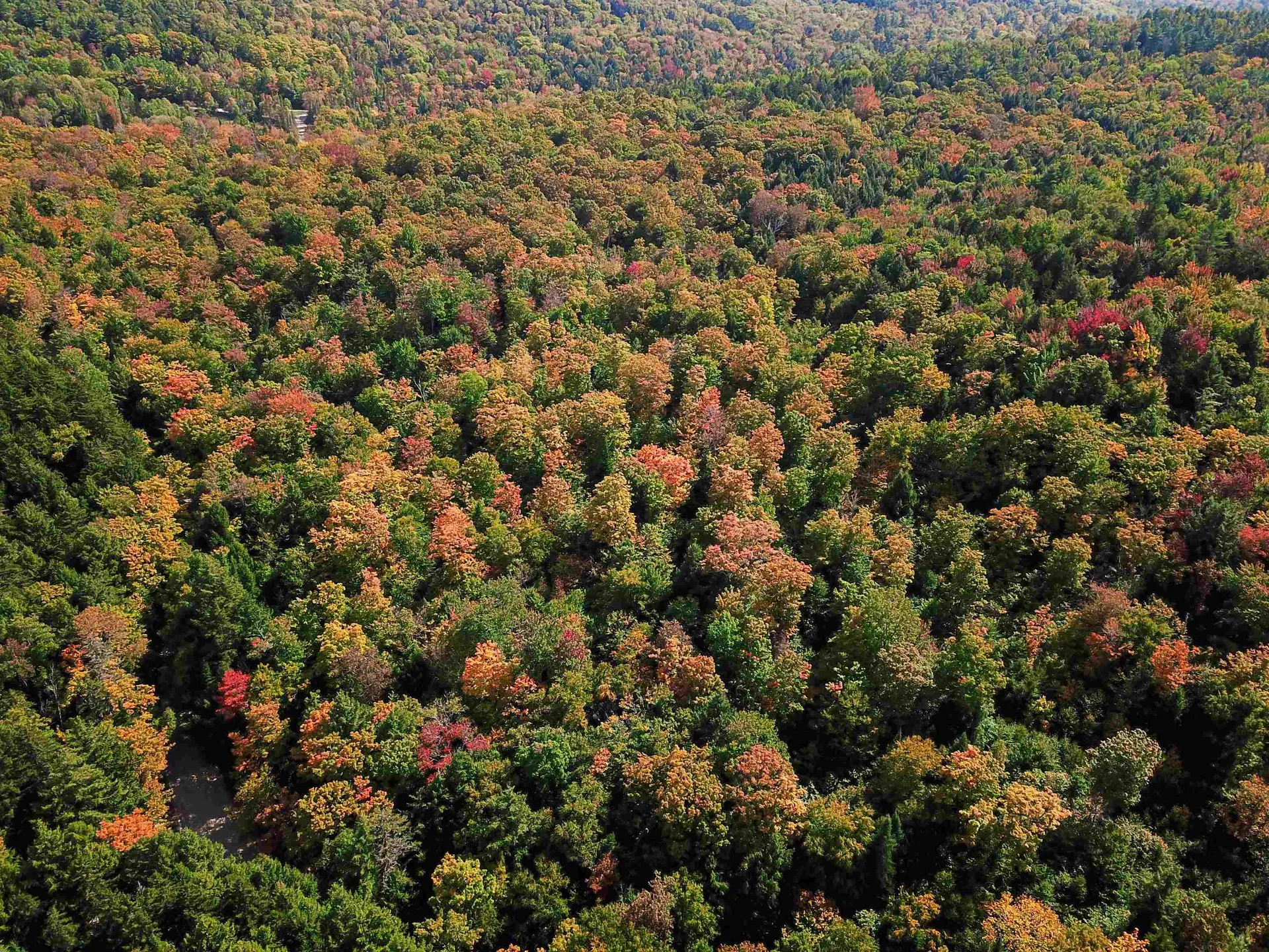 2500 Fuller Road Newbury VT 05051