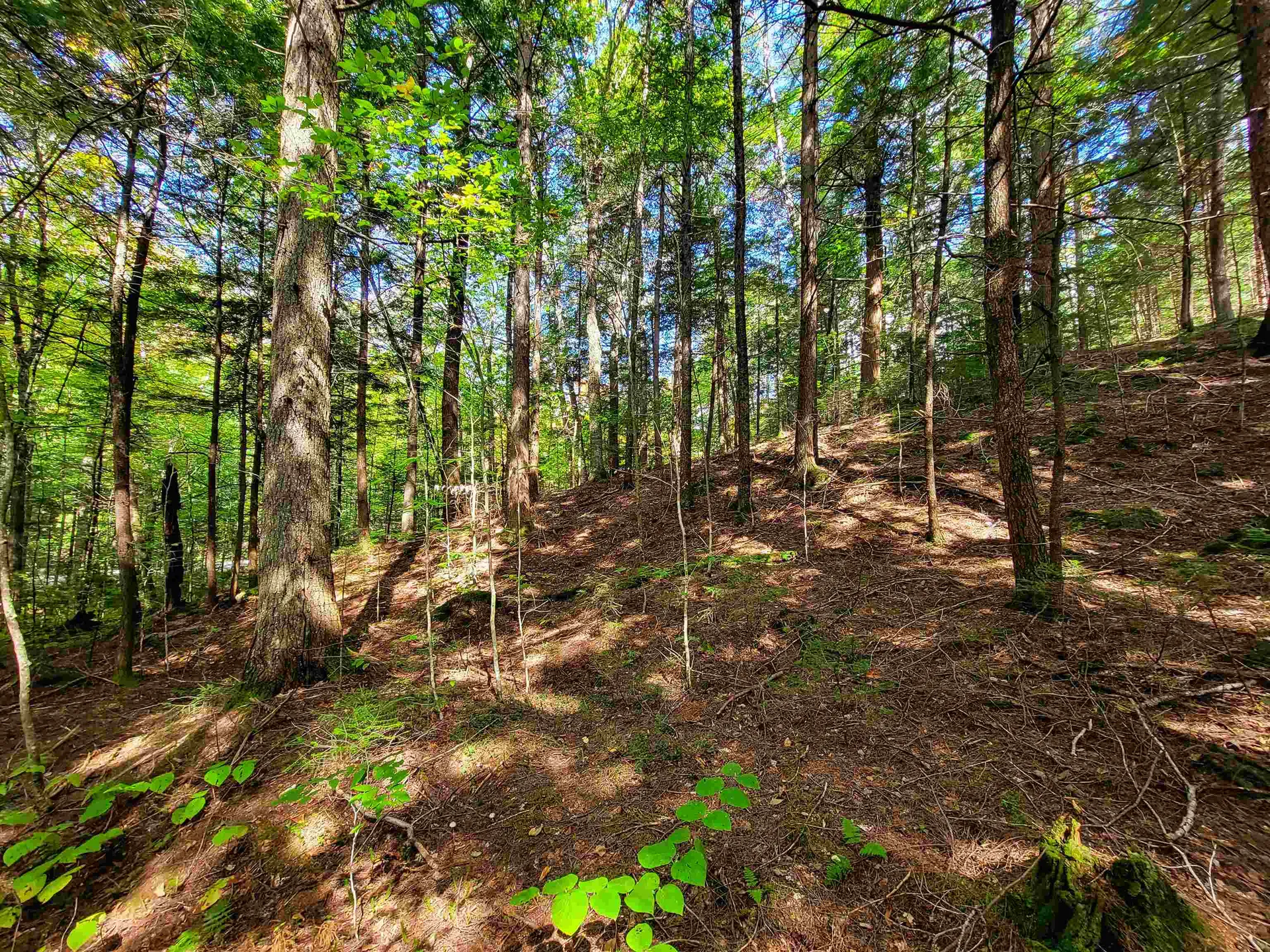 2500 Fuller Road Newbury VT 05051