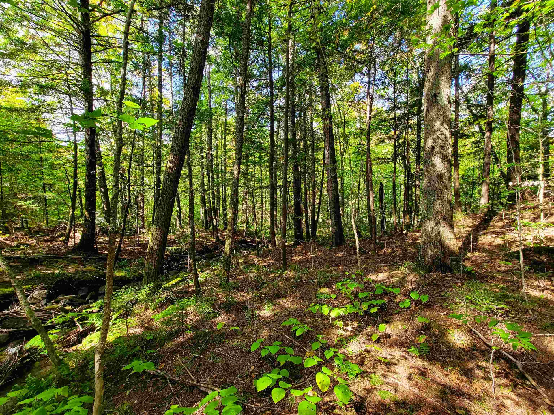 2500 Fuller Road Newbury VT 05051