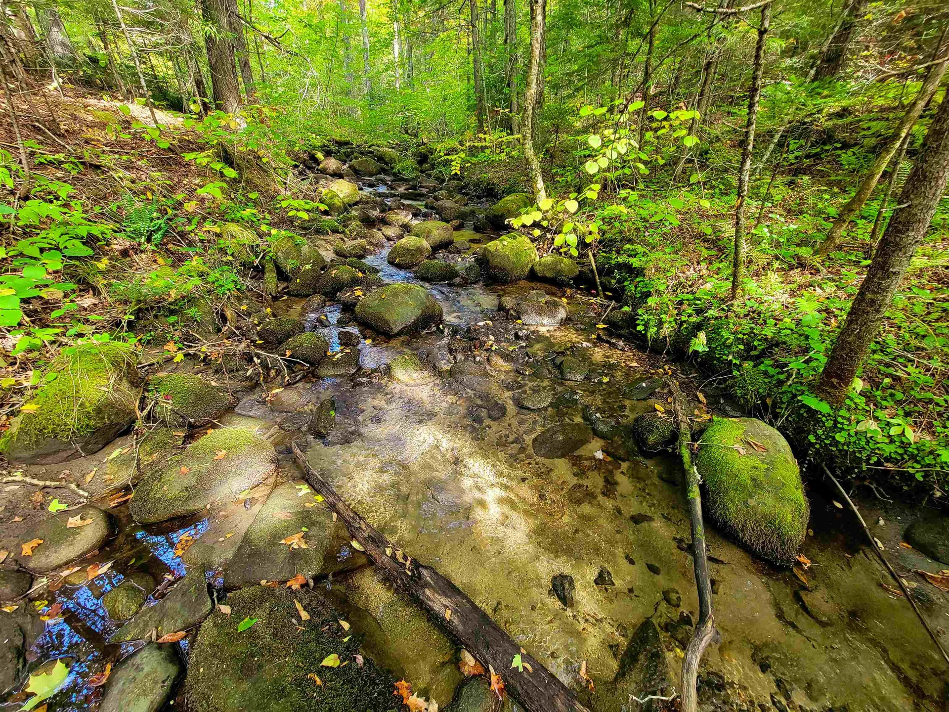 2500 Fuller Road Newbury VT 05051