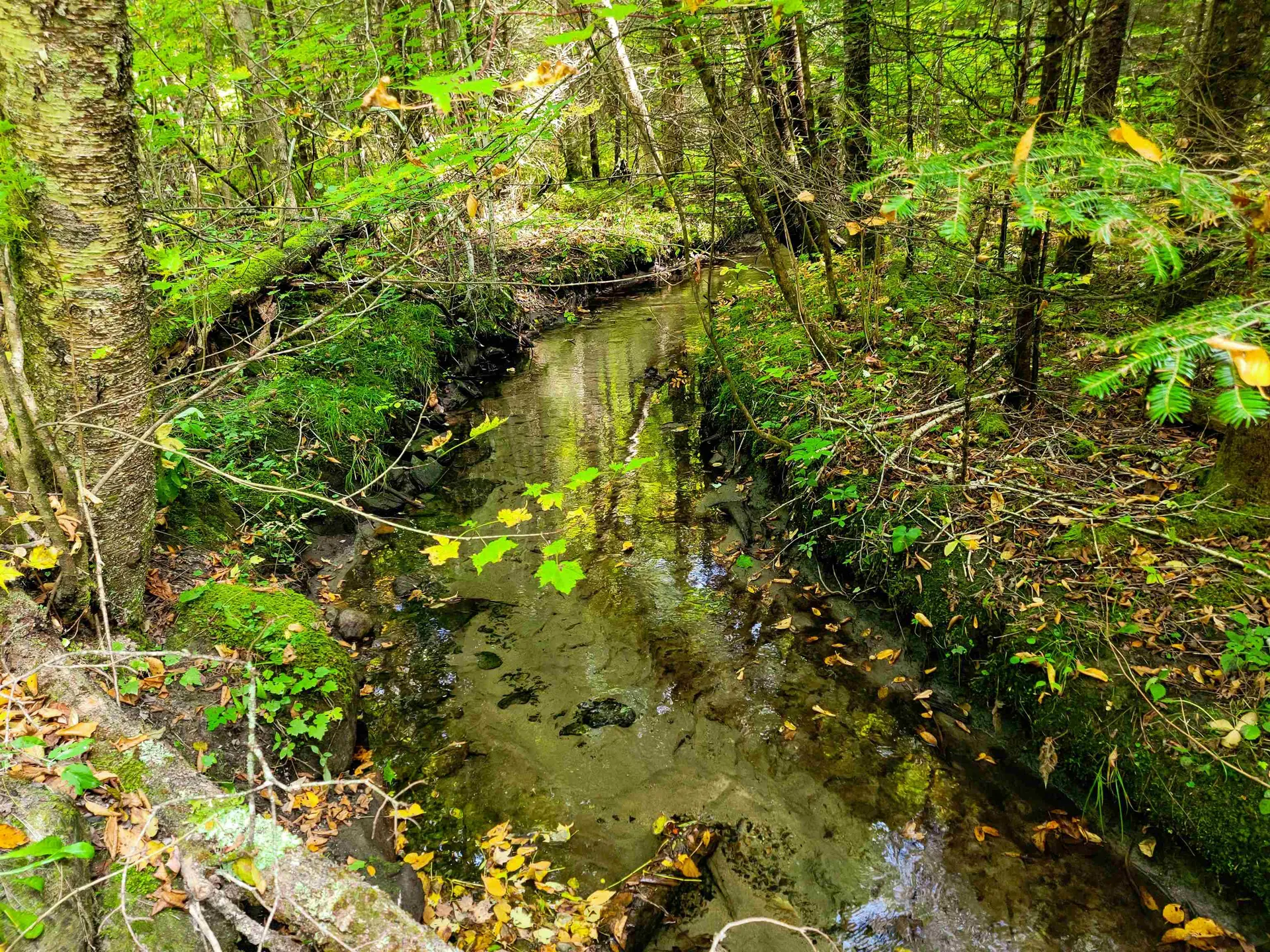 2500 Fuller Road Newbury VT 05051