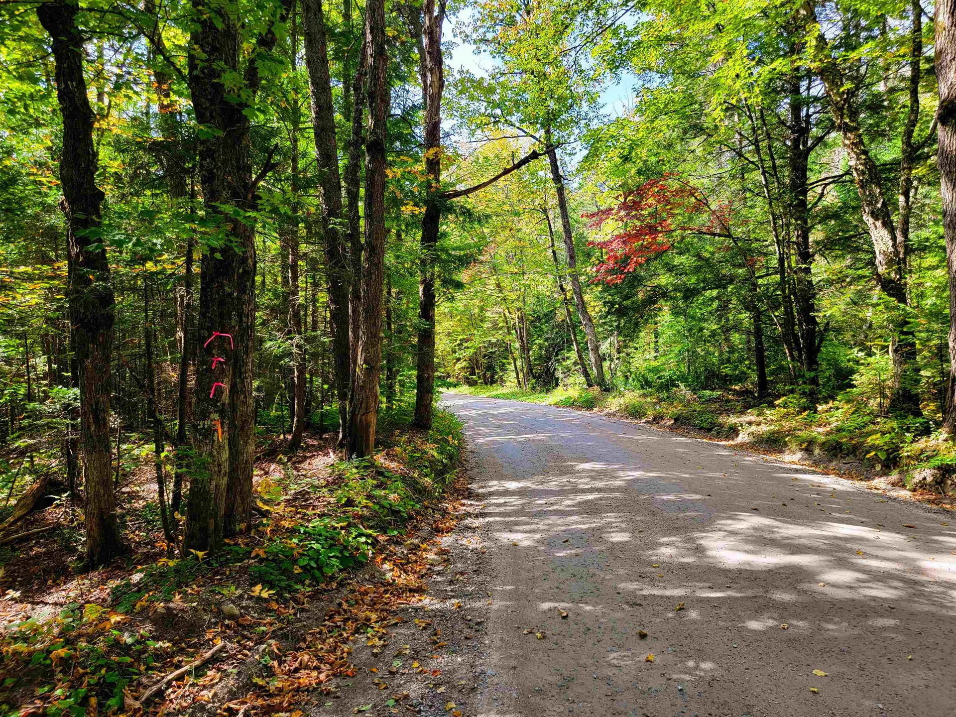 2500 Fuller Road Newbury VT 05051