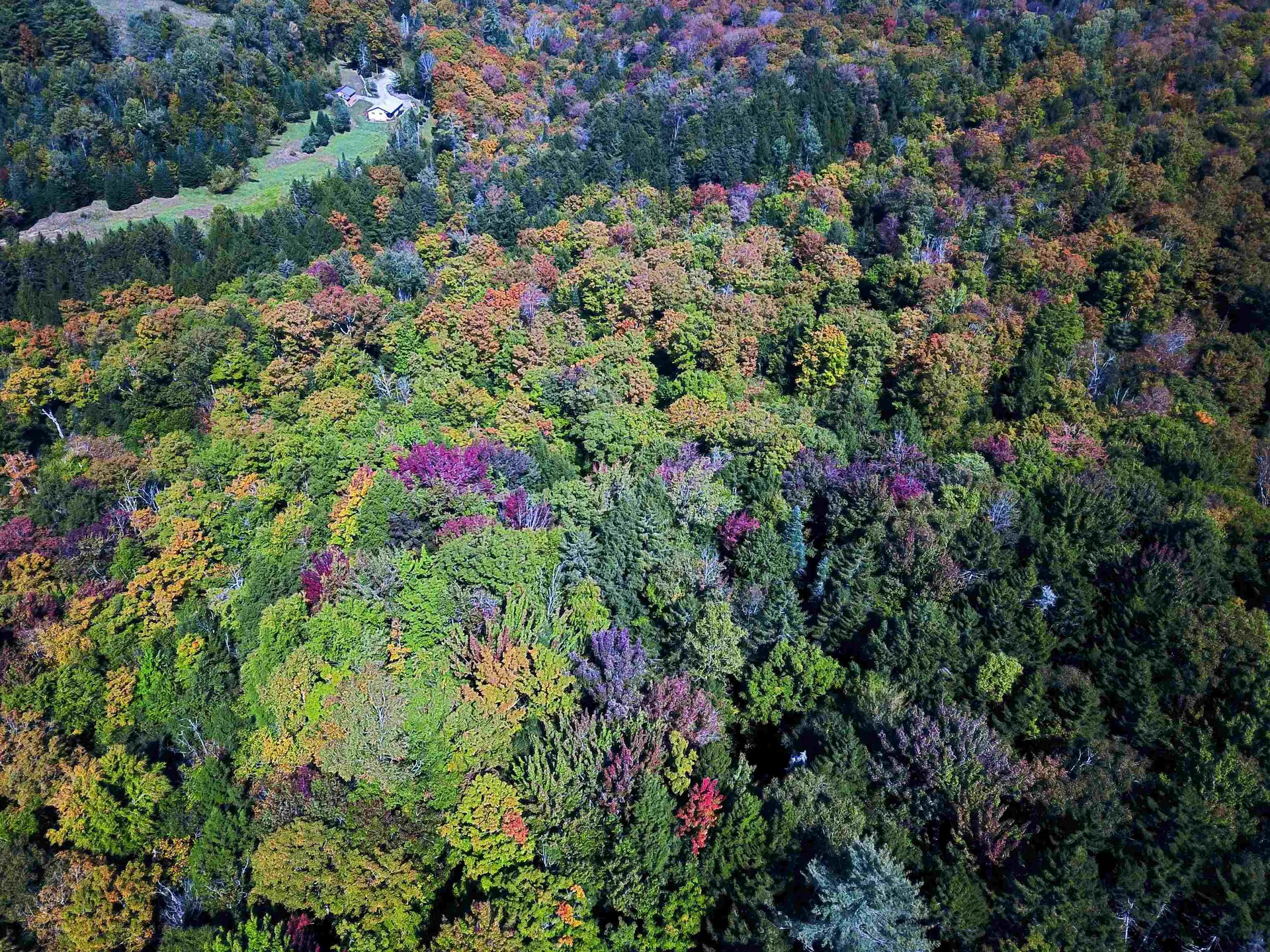 2500 Fuller Road Newbury VT 05051