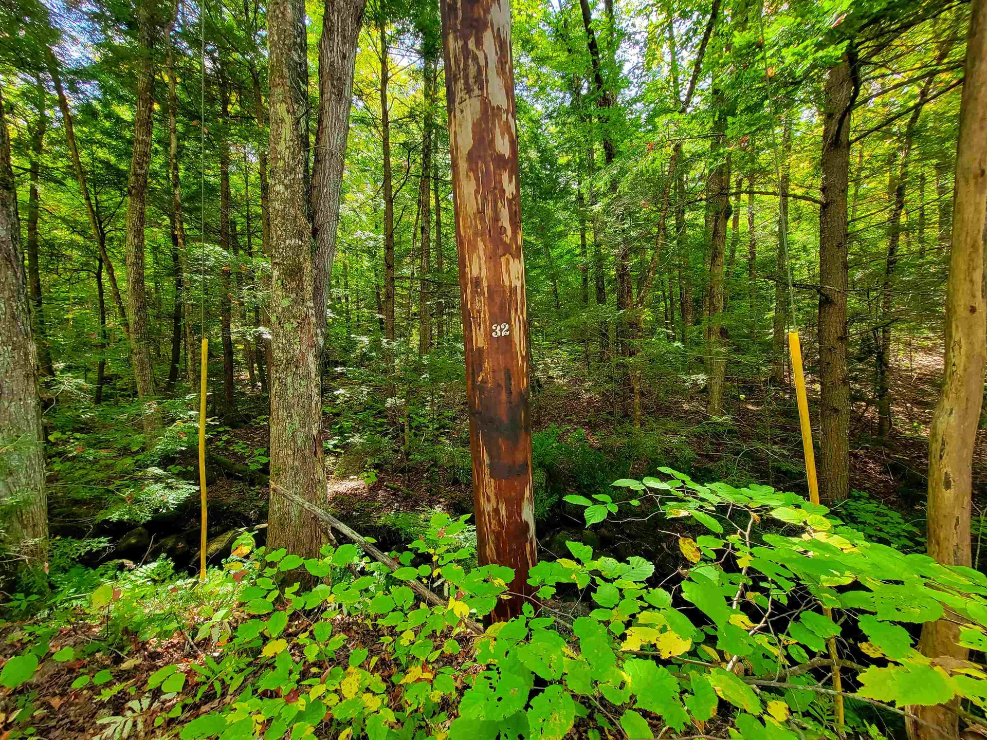 2500 Fuller Road Newbury VT 05051