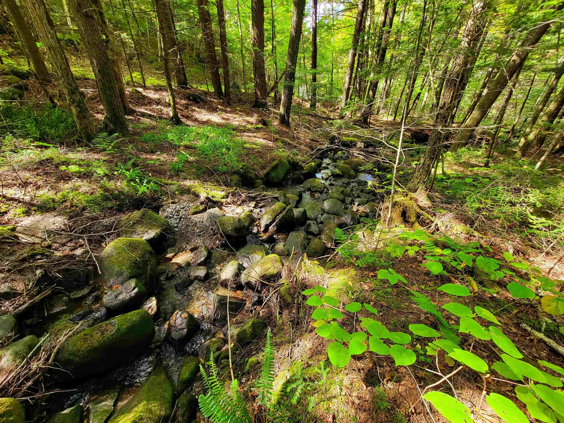 2500 Fuller Road Newbury VT 05051