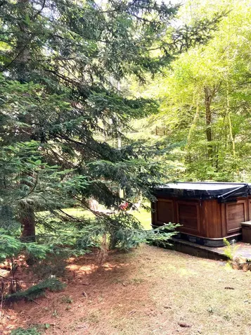 75 E Brook Crossing Wilmington VT 05363