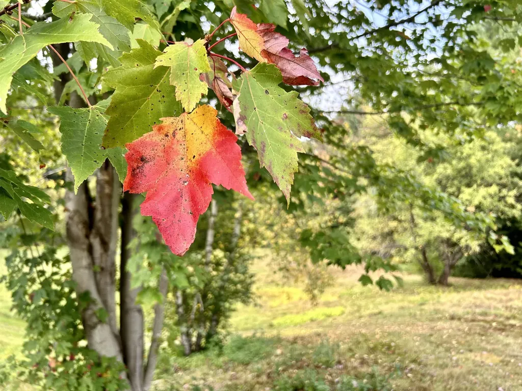 3622 Dorset West Road Dorset VT 05251