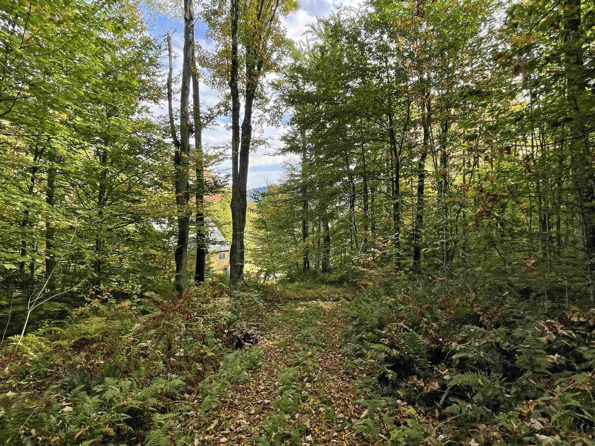 244 York Hill Road Lincoln VT 05443