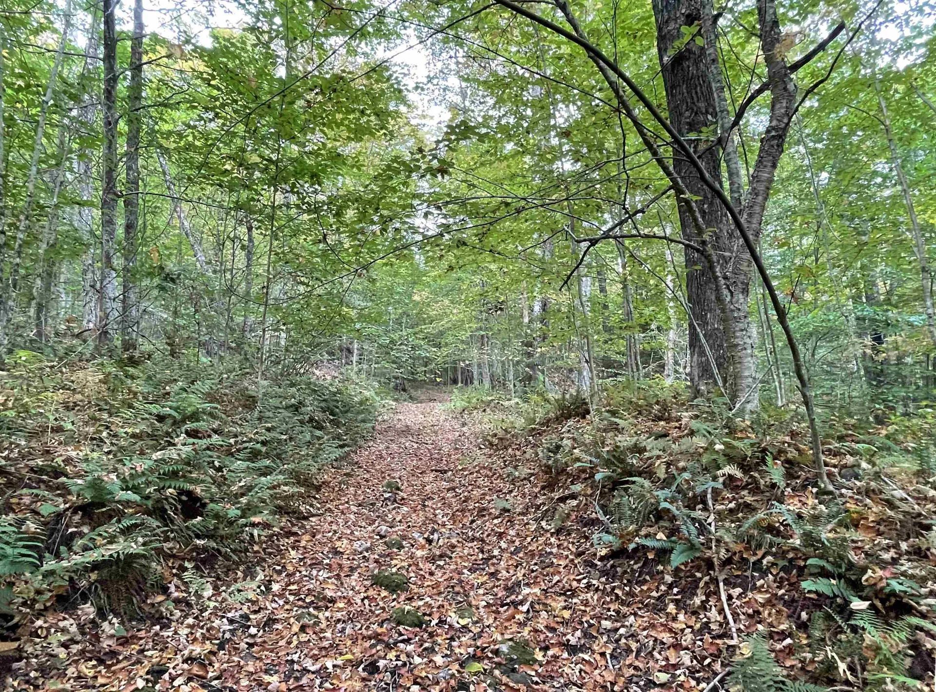 244 York Hill Road Lincoln VT 05443