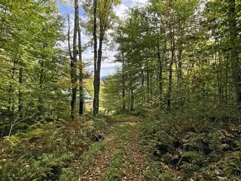 244 York Hill Road Lincoln VT 05443