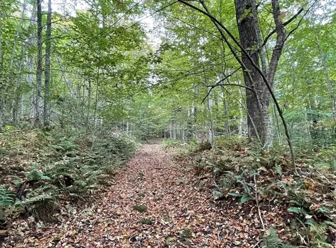 244 York Hill Road Lincoln VT 05443