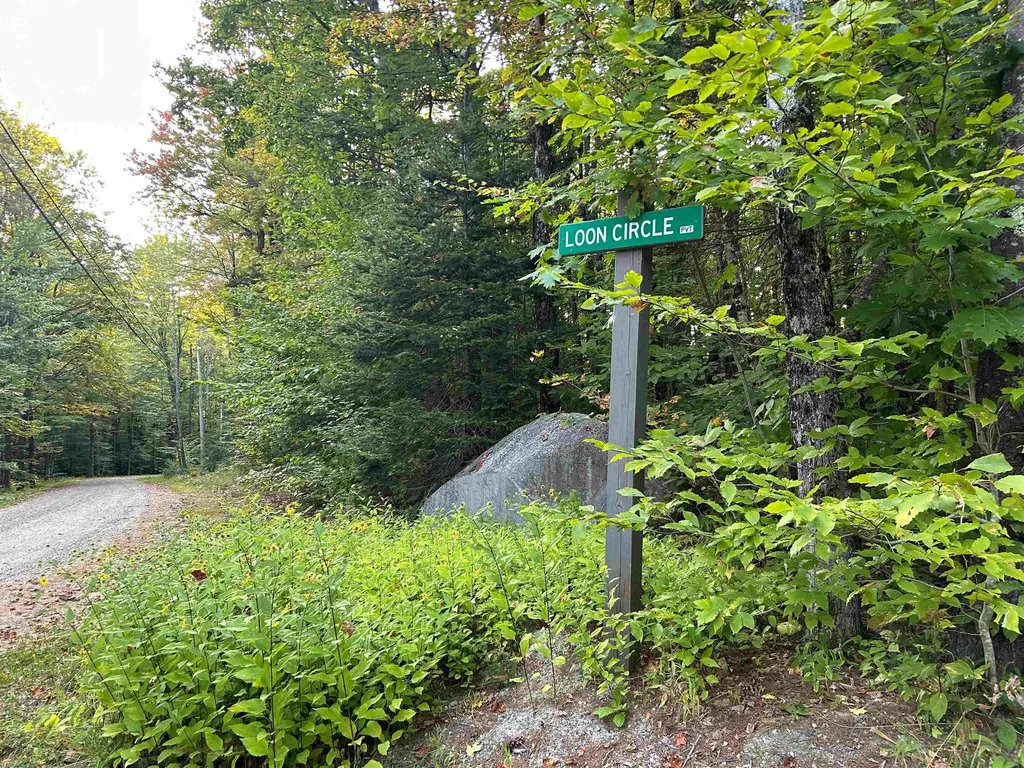 00 Loon Circle Londonderry VT 05148