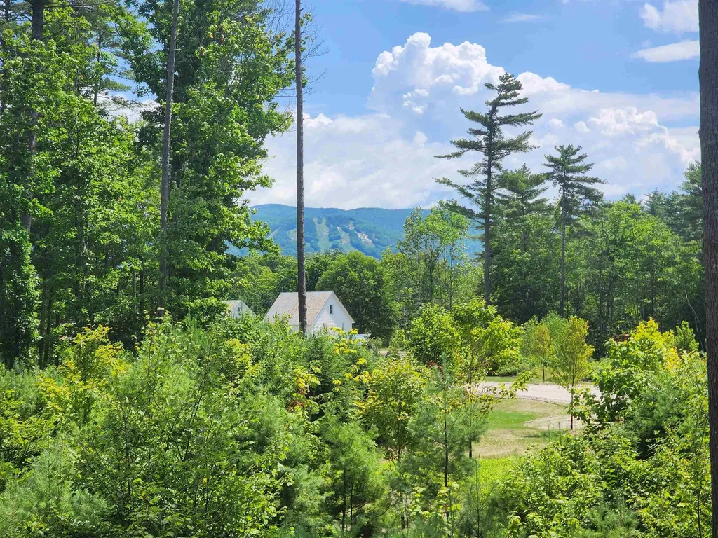 5 Lucy Brook Road Conway NH 03860