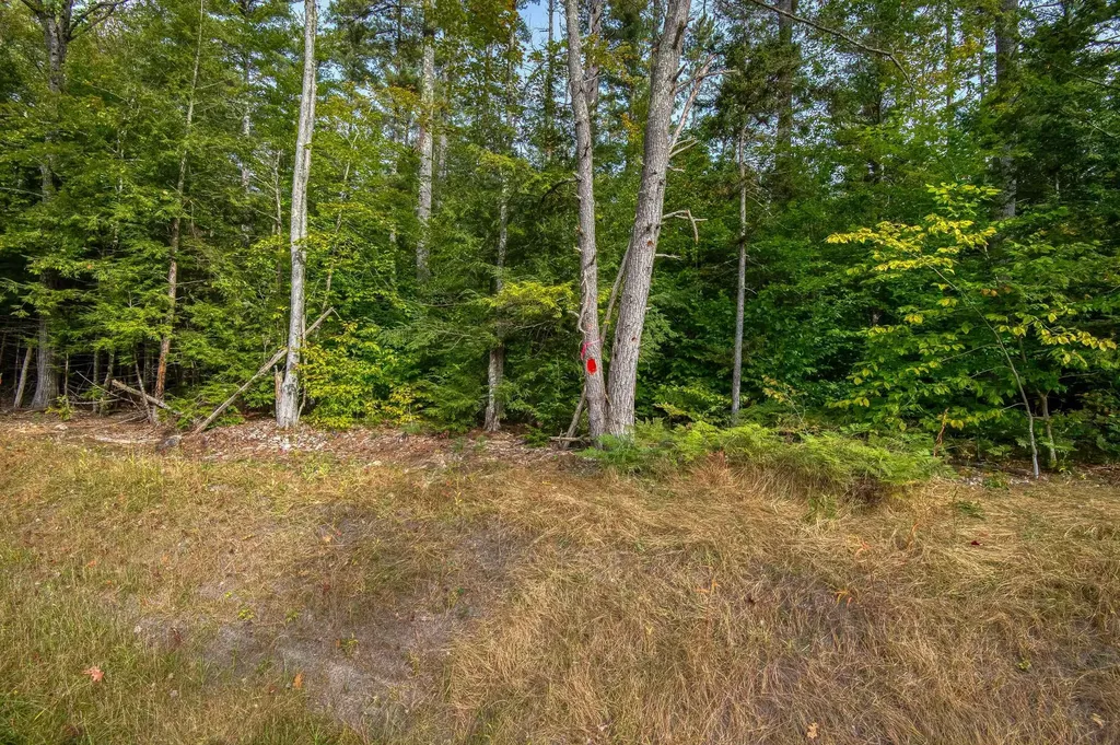 5 Lucy Brook Road Conway NH 03860