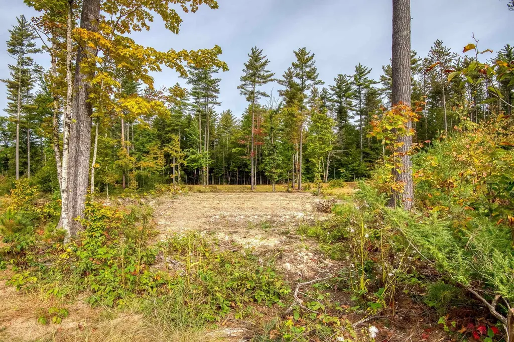 5 Lucy Brook Road Conway NH 03860
